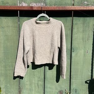Mollusk sweater